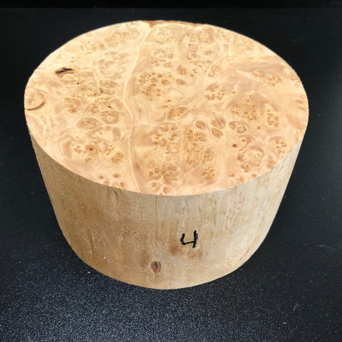 6"x3" KD Maple Burl Wood Bowl Turning Blank (#004)