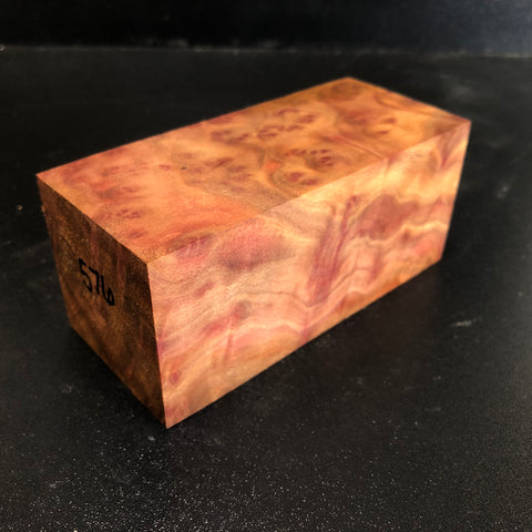 2.25x2.25x5" Camphor Burl Wood Spindle Turning Blank (#00576)