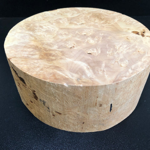 8"x3" KD Maple Burl Wood Bowl Turning Blank (#001)