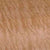 Flat Sawn Figured Sapele Wood