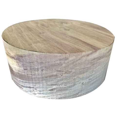 8"x2" KD Rainbow Poplar Wood Platter Turning Blank