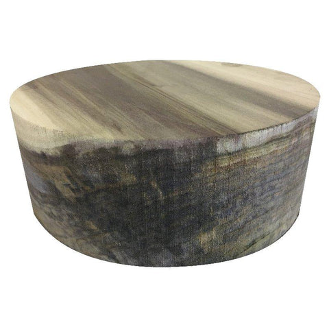 10"x2" Rainbow Poplar Wood Platter Turning Blank