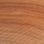 Red Elm Wood End Grain
